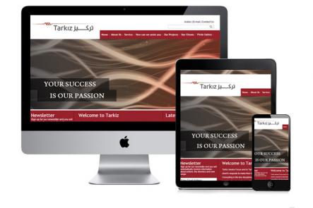 TARKIZ Financial & Management Consulting